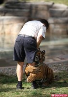 /album/cute-pics-/more-cute-animals-11-jpg/